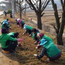 신창면 행정복지센터 이미지