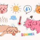 태안 동물병원 이미지