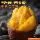 쇼핑농수산