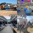 화랑마을-3 | 대구근교 주말 아이와 체험놀이터 경북 영천 화랑설화마을 정보 후기