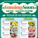 진주중부농협로컬푸드직매장2호점 | 9월 8일 경남 진주로 떠나자! 익산농협 찹쌀떡 투어