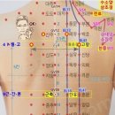 지양(至陽)-GV9 이미지