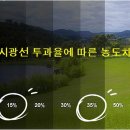 레이노솔라캐치두실점