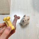 푸드포퍼피 이미지
