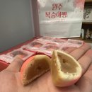 원주복숭아빵 | 귀여운 비주얼에 반한 원주 특산물 복숭아빵, 먹기 아까웠어요