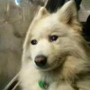 메디피움 분당의원 이미지