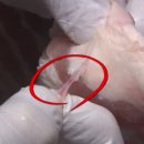 서초 해물찜 이미지