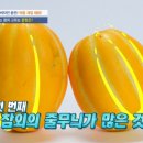 쌍둥이과일