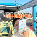 버스정류소_화곡본동시장 | 제주시티투어버스 무료탑승 이벤트 후기 여자혼자 제주여행 뚜벅이 추천