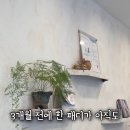 드부아네일