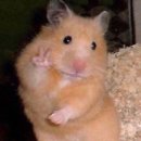 엔제리너스 | 엔제리너스 알바 후기