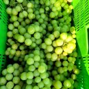 태희농장 이미지