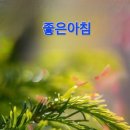 버들피리 이미지