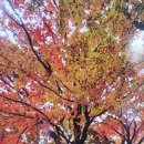 서현1동주민자치센터 이미지