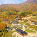 신안사로 이미지