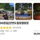 안면도힐링캠핑장 이미지