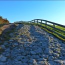 은행나무목장 이미지