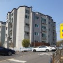 고양한내초등학교 이미지