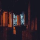 오천냥하우스 | 연말을 보내는 비거니즘 일기 [집순이 일상/ 차분한 연말 /2025 넬스룸 티켓 도착/ 티타임 즐기기]