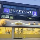 퍼피캣 강아지분양 고양이분양 대구경산점 | 경산강아지분양 고양이분양 퍼피캣 대구경산점 오픈!!!