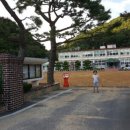 산양초풍화분교 이미지