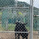 엘림떡카페 - 109681 | 광주 가볼만한 곳 - 내돈내산, 솔직후기