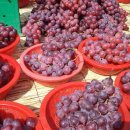 안강장날^^ 이미지