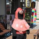 용화동 용화로 이미지