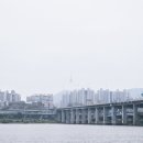 에스지푸드호두붐 - 종로구 율곡로 308 | 에스지푸드호두붐