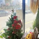 크리스마스 위빙 리스 이미지