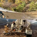 금산산림문화타운캠핑장 이미지