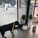 이형윤동물병원 이미지