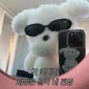 2025년 2월_돼지력 상승