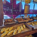 [속초 여행] 속초 중앙시장 만석닭강정/ 정선감자전/ 용촌횟집/ 봉브레드 마늘바게트/오베르망 명란...