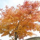 신안주공2차아파트 이미지