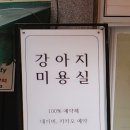 올바름 반려견 뷰티샵 이미지