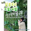 구룡포역사관 | [경북 포항] 까멜리아 구룡포일본인가옥거리 근대역사관 여행후기