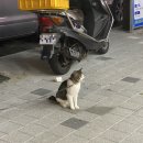 맘스터치 서면1번가점 이미지