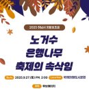 노거수 은행나무 축제의 속삭임 이미지