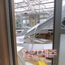 구좌중앙초등학교 이미지