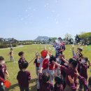 성신유치원 이미지