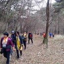 이순신장군 백의종군로 이미지