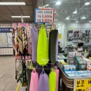 헬로헤일리 이미지