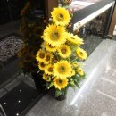 참치먹는날