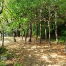 진양호공원(매점) 이미지