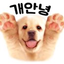 비지어스펫