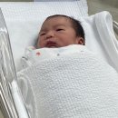 드림포유의원 | 송도허브여성의원&송도허브산후조리원2호점 후기