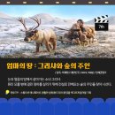 어네스트필름