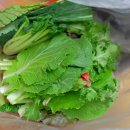 토마토인터넷 티스토리