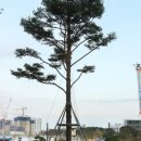 정보과학고등학교 (앞) 이미지